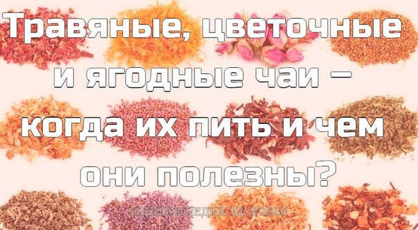 Травяные, цветочные и ягодные чаи – когда их пить и чем они полезны?
