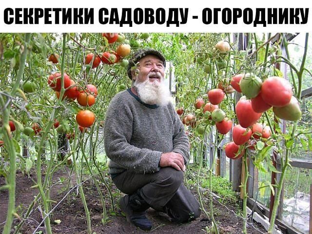 МАЛЕНЬКИЕ СЕКРЕТИКИ САДОВОДУ - ОГОРОДНИКУ