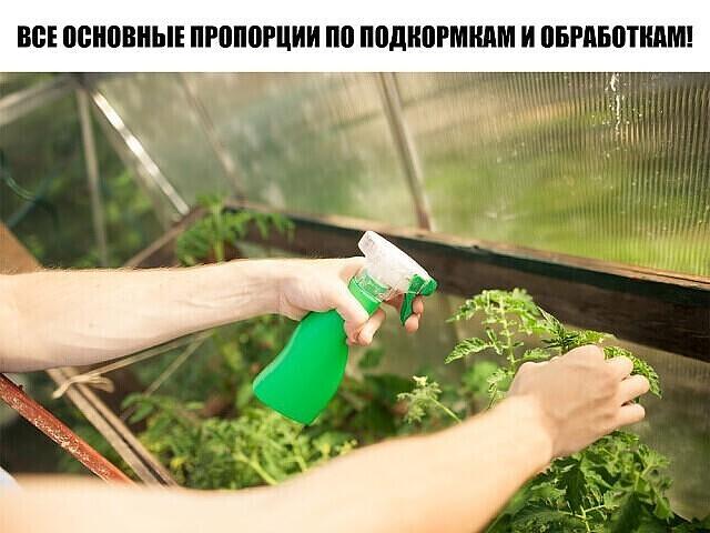 Все основные пропорции по подкормкам и обработкам!