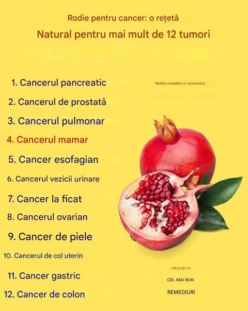 „Rodia, fructul care îți protejează sănătatea din interior spre exterior”
