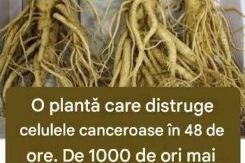 Această rădăcină ucide 98% din cazurile de cancer la stomac, colorectal, pancreatic și multe altele.