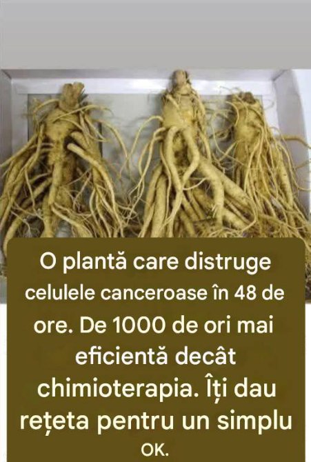 Această rădăcină ucide 98% din cazurile de cancer la stomac, colorectal, pancreatic și multe altele.