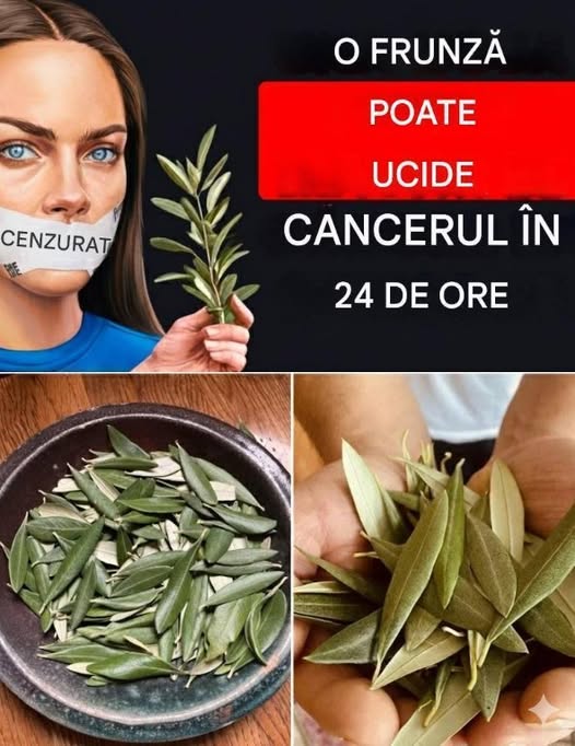 FRUNZA care distruge cancerul despre care doctorii nu-ți spun! Barbara O'Neill: Descoperă SECRETUL!