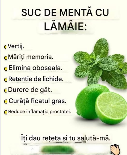 Suc de mentă cu lămâie – o băutură răcoritoare și sănătoasă