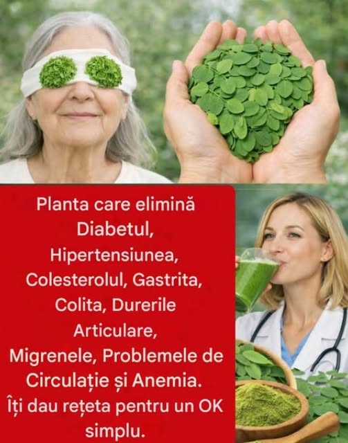  Planta numită Moringa