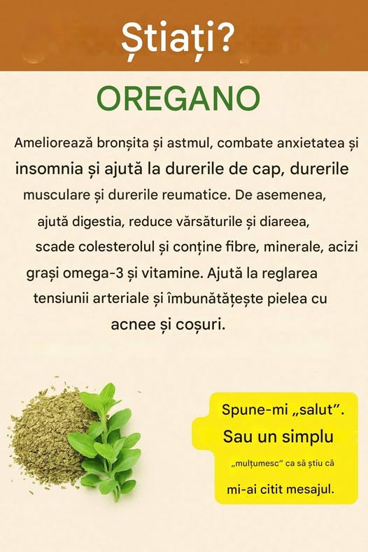 Puterea ascunsă a oregano-ului: planta miraculoasă care îți va transforma sănătatea!