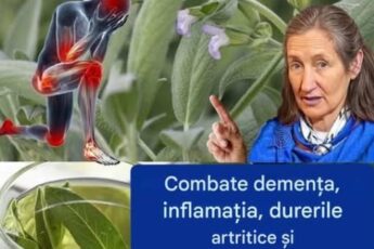 Salvie: o comoară botanică cu beneficii inestimabile pentru sănătate