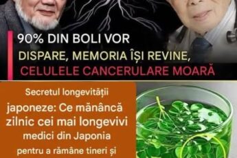Secretul longevității japoneze: Ce mănâncă zilnic cei mai longevivi medici din Japonia pentru a rămâne tineri și sănătoși.