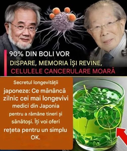 Secretul longevității japoneze: Ce mănâncă zilnic cei mai longevivi medici din Japonia pentru a rămâne tineri și sănătoși.