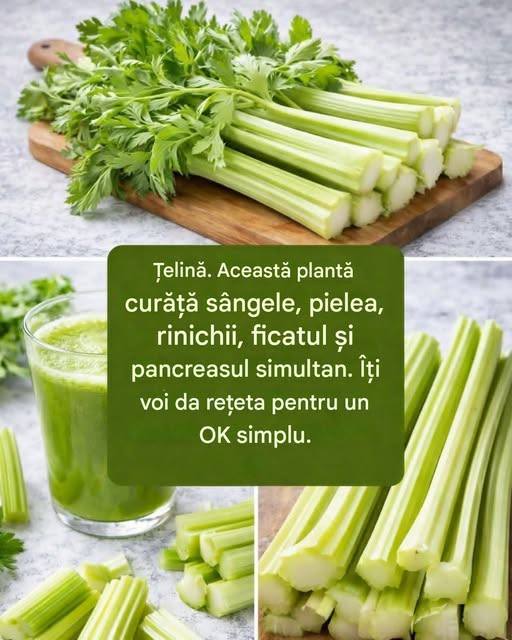 Suc pentru curățarea ficatului și a pancreasului…