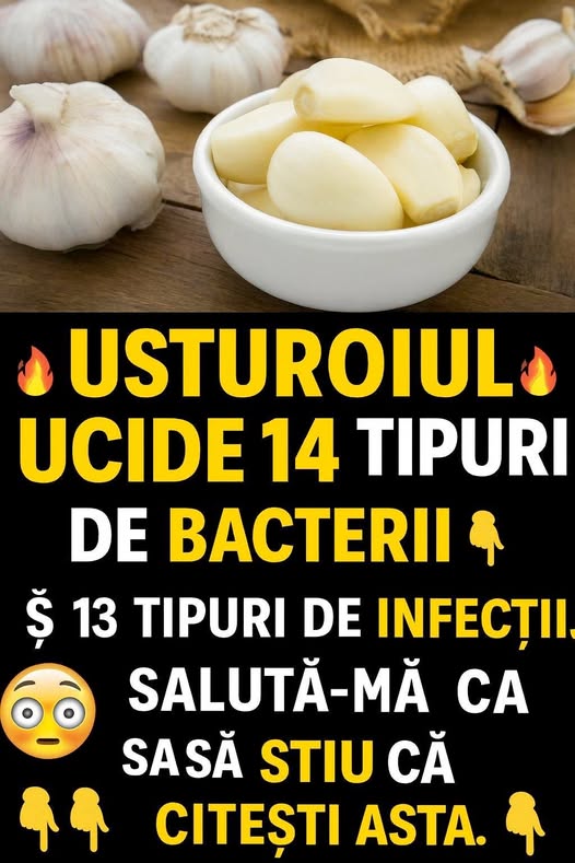Usturoiul – puterea naturii pe care prea mulți o ignoră!
Cunoscut pentru efectele sale antibacteriene și aroma inconfundabilă, usturoiul este „aliatul” pe care ar trebui să-l avem cu toții în bucătărie.