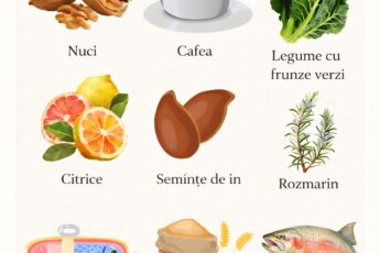 Nutrienți esențiali pentru creier