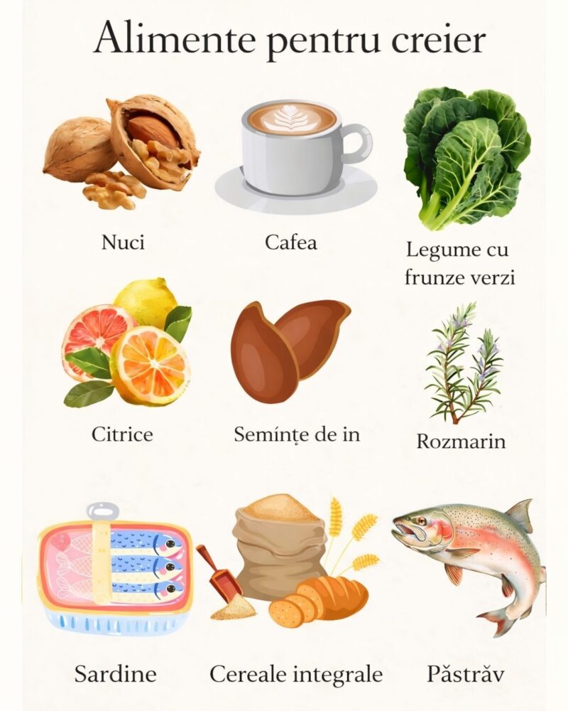 Nutrienți esențiali pentru creier
