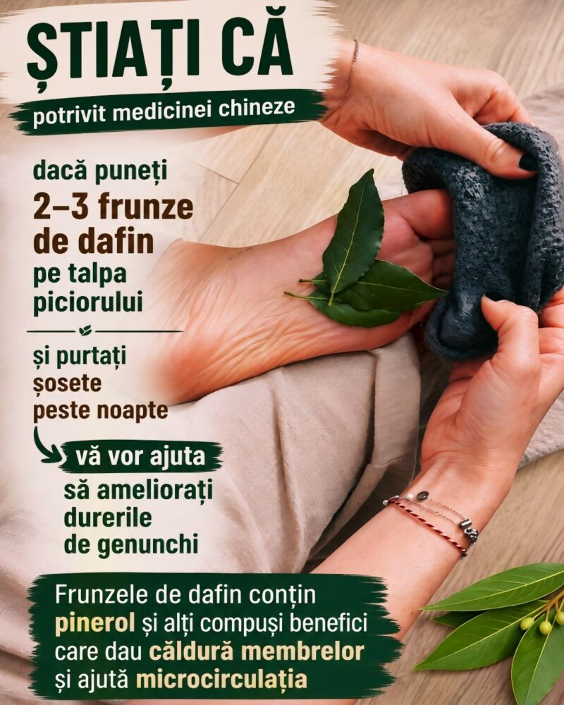 Redescoperă Puterea Naturii: Frunzele de Dafin și Sănătatea Ta