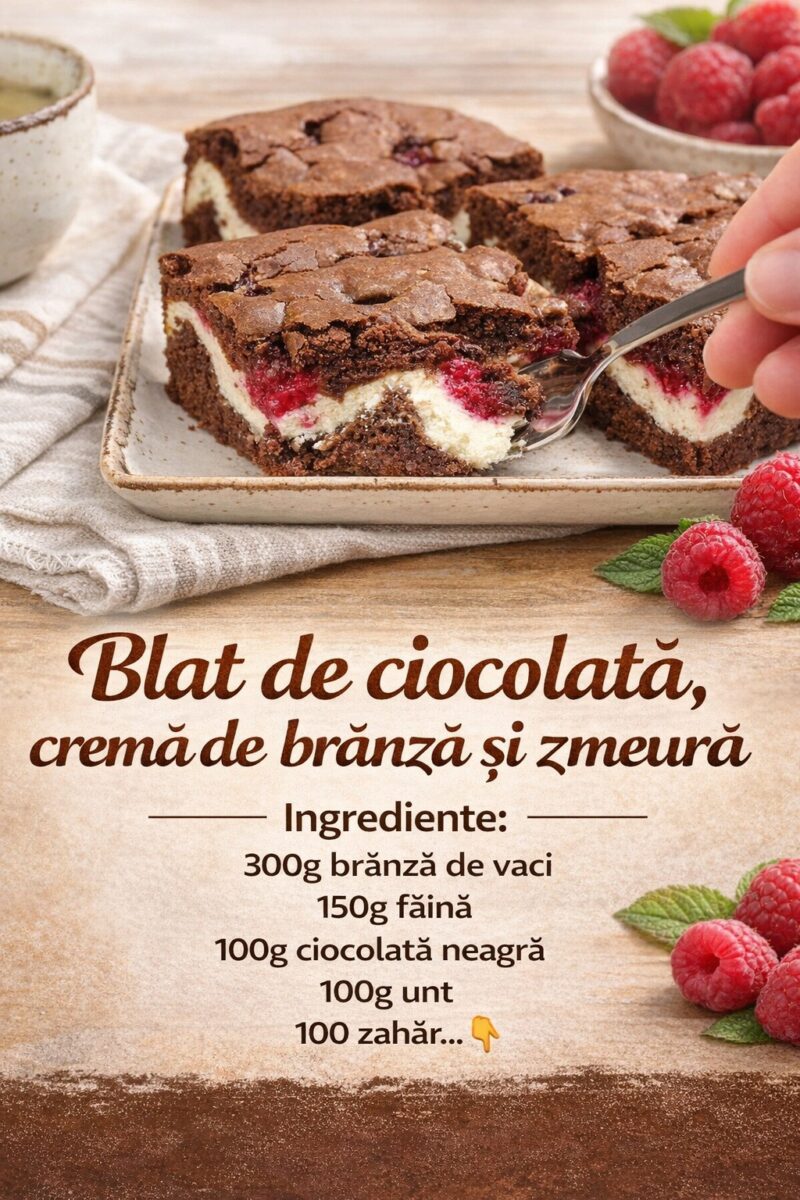 Blat de ciocolata, crema de branza si zmeura- Cea mai delicioasa prajitura