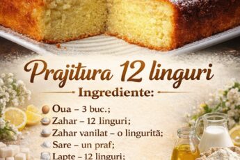 Prajitura 12 linguri- Simpla, delicioasa si rapida