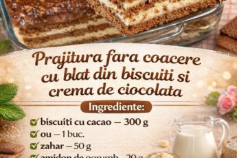 Prajitura fara coacere cu blat din biscuiti si crema de ciocolata- Delicioasa si usor de preparat