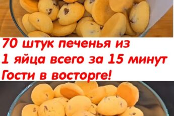 70 штук печенья из 1 яйца — всего за 15 минут! Готовлю по два раза в день, и всё равно просят ещё Гости в восторге, а для неожиданных визитов — просто палочка-выручалочка