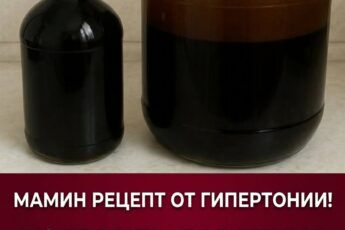 Хочу поделиться историей о том, как я помогала мужу справиться с гипертонией. В самый острый период его давление доходило до критических отметок в 220/180. Он принимал назначенные препараты и выполнял следующие рекомендации: