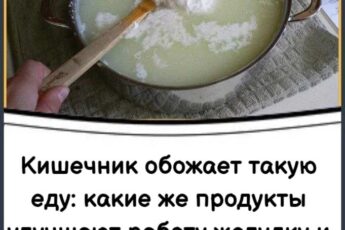 Кишечник любит такую еду: продукты, которые поддерживают пищеварение и здоровье организма