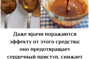 Даже врачи поражаются эффекту от этого средства: оно предотвращает сердечный приступ, снижает уровень холестерина и укрепляет вашу иммунную систему! Подробно в первом комментарии 👇