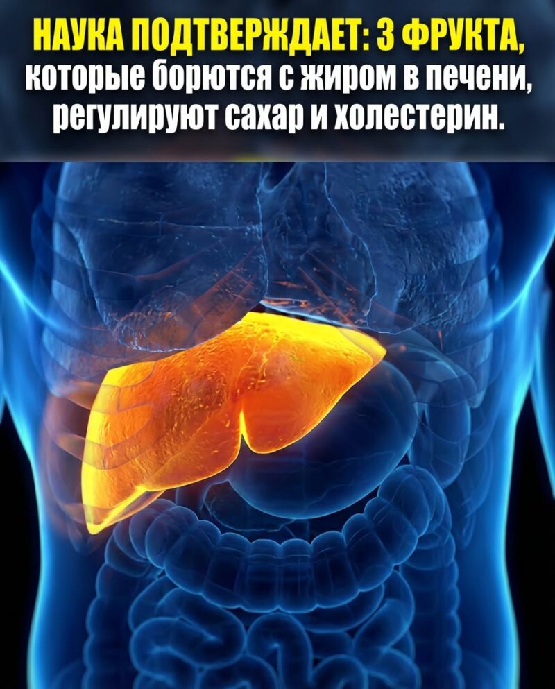 3 фрукта, которые борются с жиром в печени, регулируют уровень сахара и холестерина