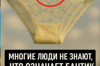 Почему на женских трусиках есть бантик Я всегда думал, что это чисто для красоты, но на самом деле всё совсем иначе.