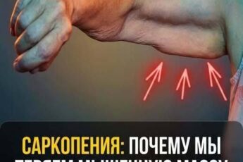 Ешьте это перед сном, чтобы мышцы не исчезали с возрастом! Всего 4 простых продукта помогут сохранить силу и молодость тела.