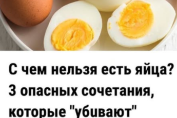 С чем нельзя есть яйца 3 опасных сочетания, которые «убuвают» пользу и вредят пищеварению после 45