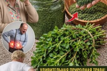Самое мощное растение в мире..