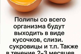Сварите вкрутую 7 куриных яиц и отделите желтки. Затем высушите, только чтобы не....