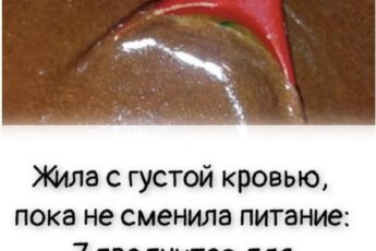 Жила с густой кровью, пока не сменила питание: 7 продуктов для восстановления сосудов