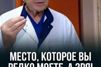 То самое место, о гигиене которого многие забывают — и совершенно напрасно. Там внутри настоящий микрозоопарк