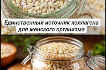 Единственная крупа — богатейший источник коллагена для омоложения женского организма