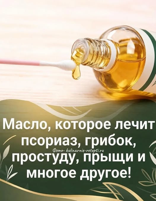 Масло, которое лечит псориаз, грибок, простуду, прыщи и многое другое! Подробно делюсь в первом комментарии 