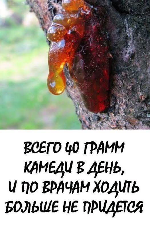 Всего 40 г камеди в день, и по врачам ходить больше не придется.