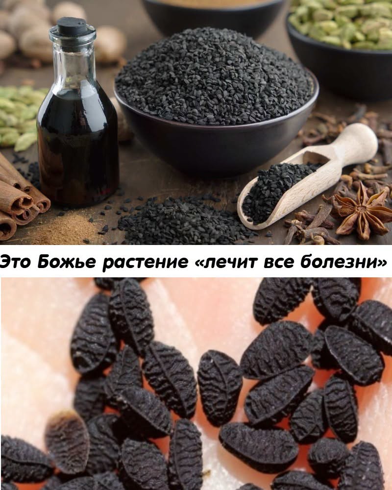 Это Божье растение «лечит все болезни» инсульт, диaбeт, pak, apтpит и т.д.