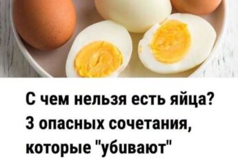 С чем нельзя есть яйца? 3 опасных сочетания, которые «убuвают» пользу и вредят пищеварению после 45