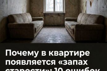 Почему в доме появляется запах старости: 10 ошибок, о которых принято молчать