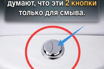 Вот так! А я ведь всё это время именно так и думал!
