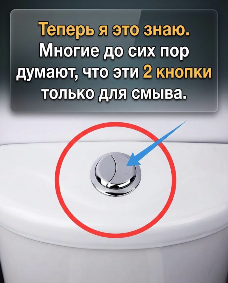 Вот так! А я ведь всё это время именно так и думал!