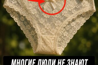 Почему на женских трусиках есть бантик 😲 Я всегда думал, что это чисто для красоты, но на самом деле всё совсем иначе.