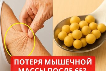 Ешьте это перед сном, чтобы мышцы не исчезали с возрастом! 💪 Всего 4 простых продукта помогут сохранить силу и молодость тела. Какие именно — рассказываю в комментарии