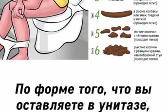 Узнайте, что форма и цвет стула могут рассказать о здоровье кишечника. Простое руководство по Бристольской шкале и советы для поддержания ЖКТ. Подробнее в первом комментарии ниже…