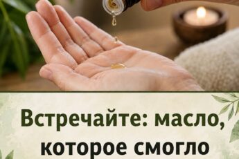 Подробнее в первом комментарии ниже.