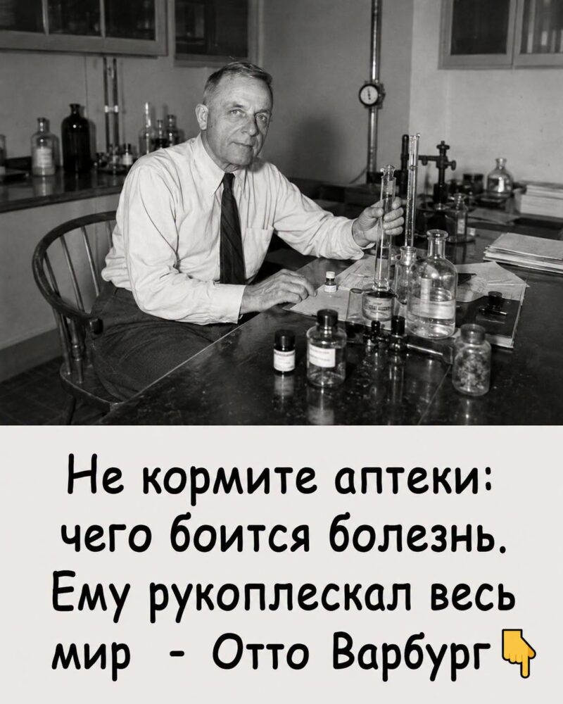 «Как вернуть молодость и здоровье: 8 правил учёного, разгадавшего код жизни». Рассказываю в первом комментарии ниже...