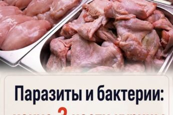 Паразиты и бактерии: какие 3 части курицы лучше не есть…