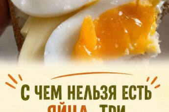 С чем нельзя есть яйца. Три продукта, которые только ВРЕДЯТ…