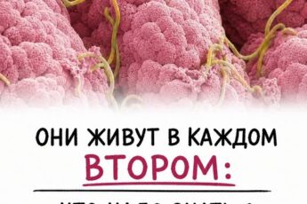Они живут в каждом втором: что надо знать о кишечных паразитах и как от них защититься…