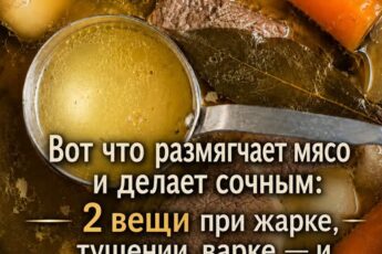 От подписчицы 👇 Вот что размягчает мясо и делает сочным: 2 вещи при жарке, тушении, варке — и самое жилистое мясо как пух, сочное и «во рту тает»…